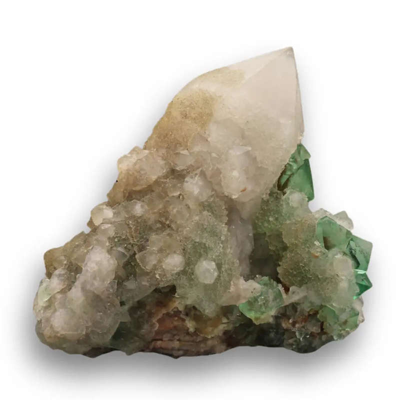 Unique Cactus Quartz with Lustrous Green Fluorite from Riemvasmaak