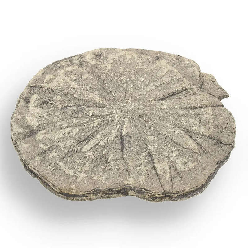 Pyrite Sun: Fascinating Illinois Find with Natural Beauty