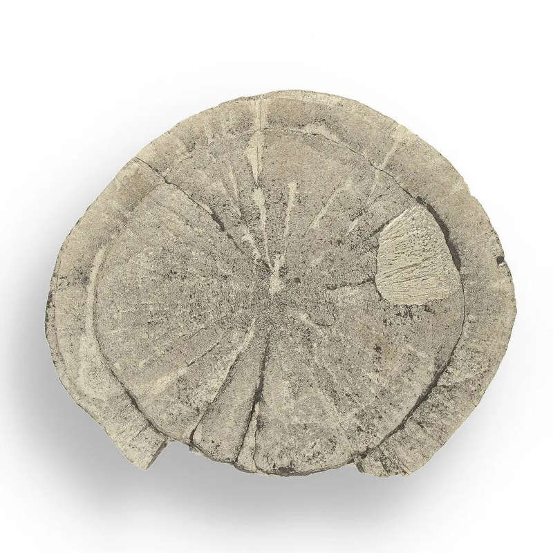 Pyrite Sun: Unique Crystal Formation from Illinois