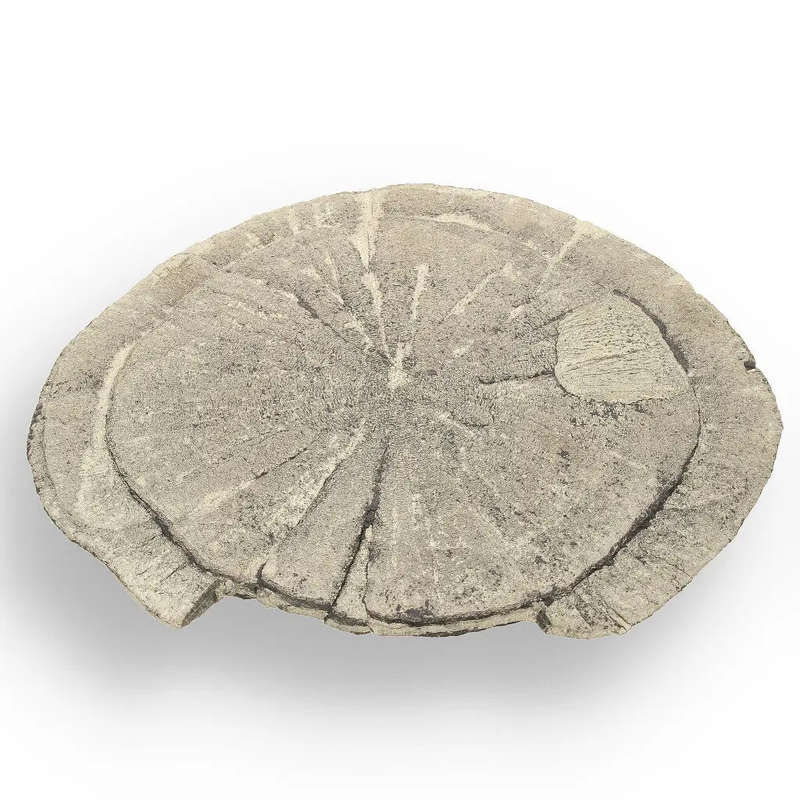 Pyrite Sun: Unique Crystal Formation from Illinois