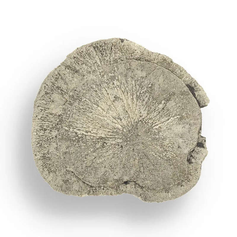 Pyrite Sun: Stunning Illinois Specimen with Radiant Luster