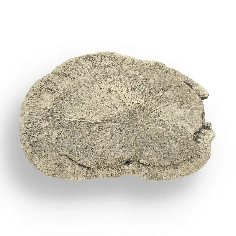 Pyrite Sun: Stunning Illinois Specimen with Radiant Luster