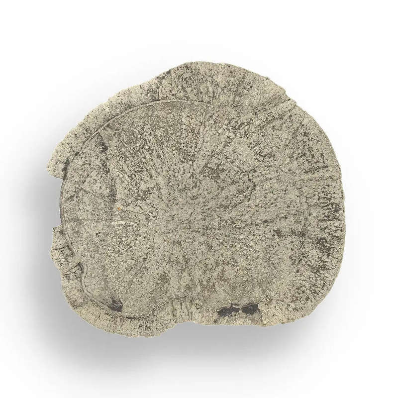 Pyrite Sun: Stunning Illinois Specimen with Radiant Luster