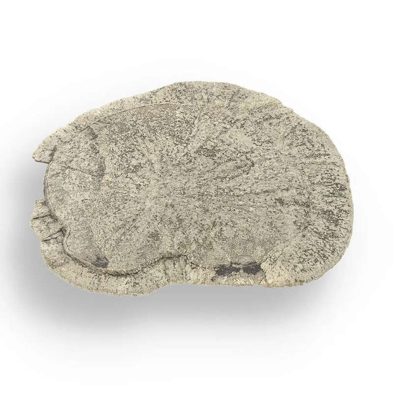 Pyrite Sun: Stunning Illinois Specimen with Radiant Luster