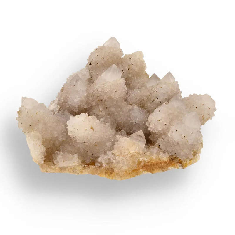 Cactus Quartz from Boekenhoutshoek: Unique White Gem