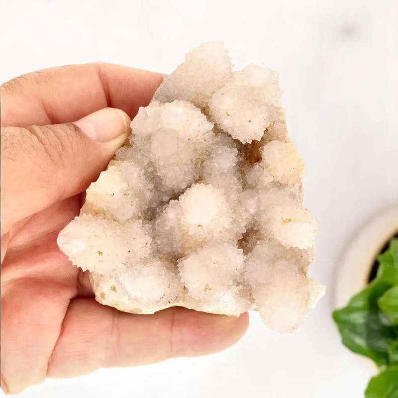 Cactus Quartz from Boekenhoutshoek: Unique White Gem