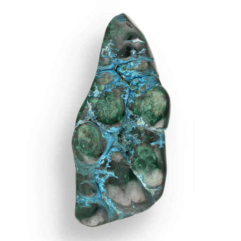 Polished Malacholla Beauty Oceanic Harmony