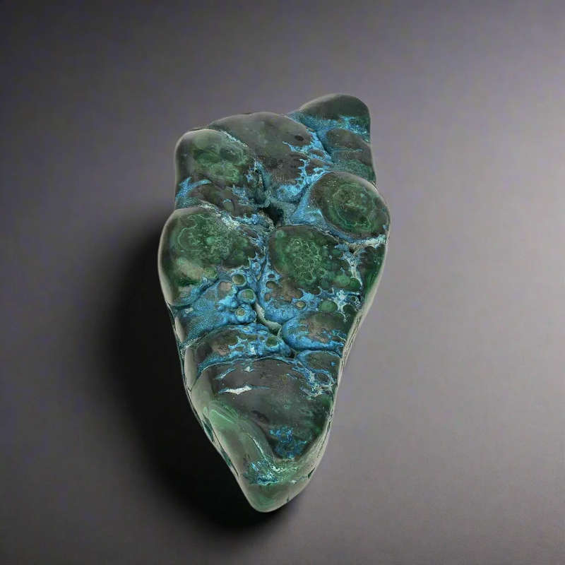 Polished Malacholla Beauty Oceanic Harmony