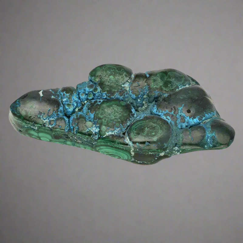 Polished Malacholla Beauty Oceanic Harmony