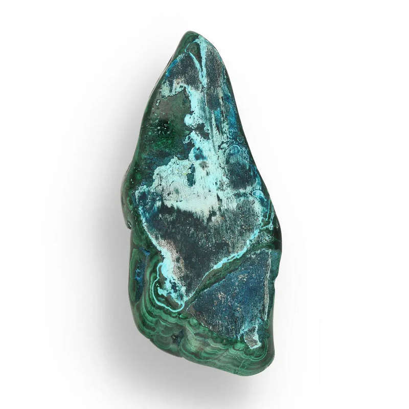 Polished Malacholla Beauty Oceanic Harmony