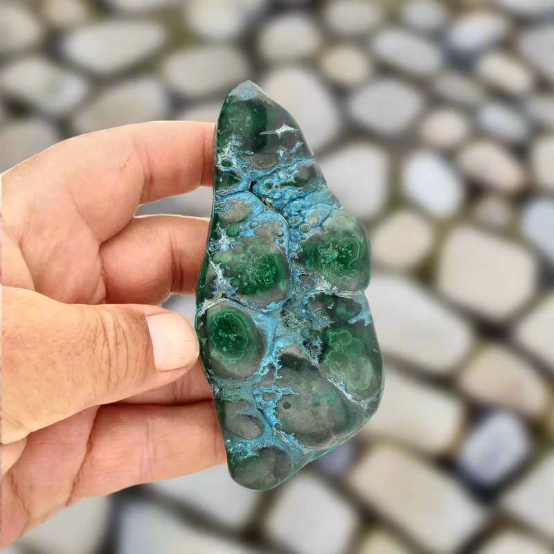 Polished Malacholla Beauty Oceanic Harmony