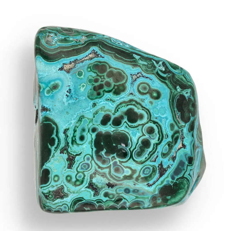 Verdant Waves: Malacholla from Congo