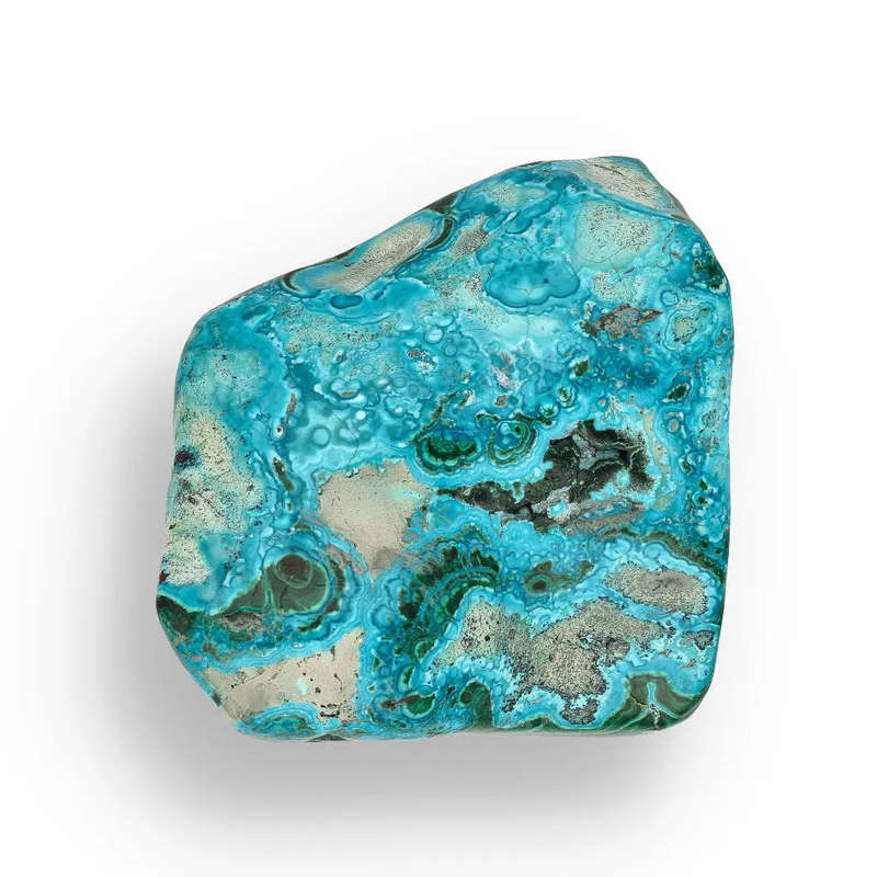 Verdant Waves: Malacholla from Congo