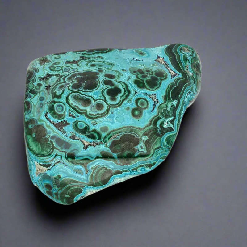 Verdant Waves: Malacholla from Congo