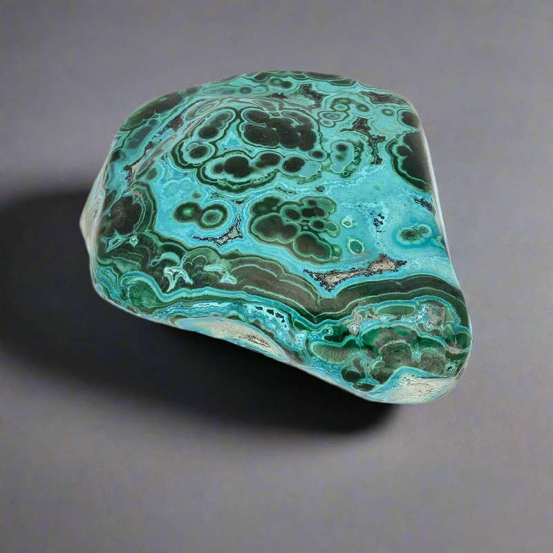 Verdant Waves: Malacholla from Congo