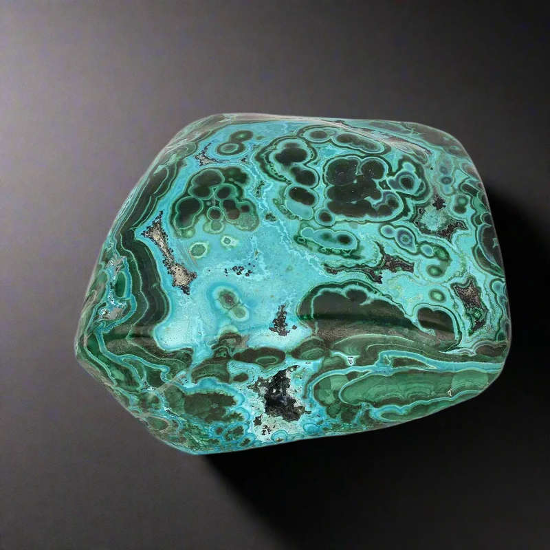 Verdant Waves: Malacholla from Congo