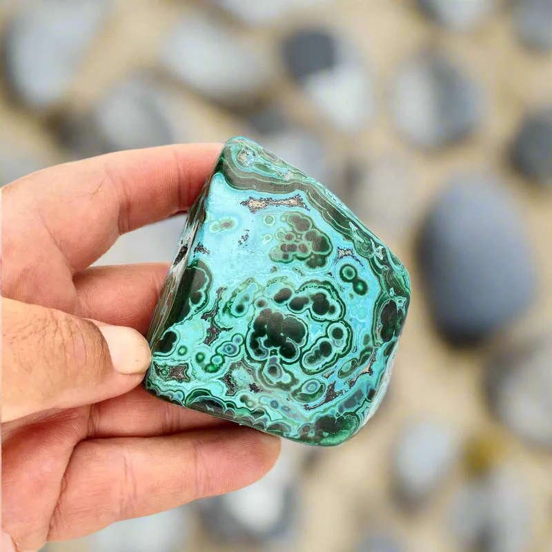 Verdant Waves: Malacholla from Congo