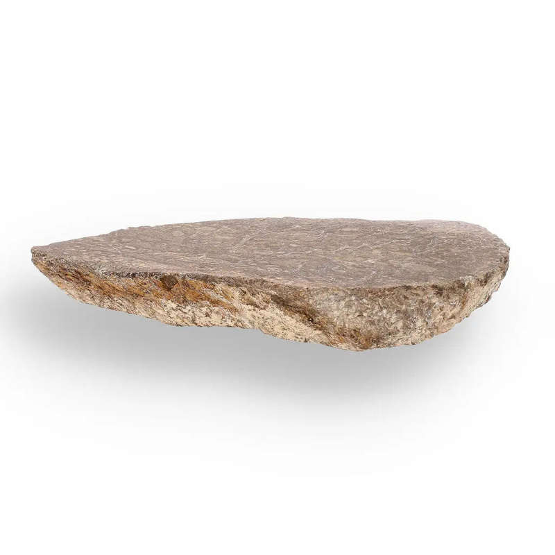 Jurassic Agatized Dinosaur Bone Relic