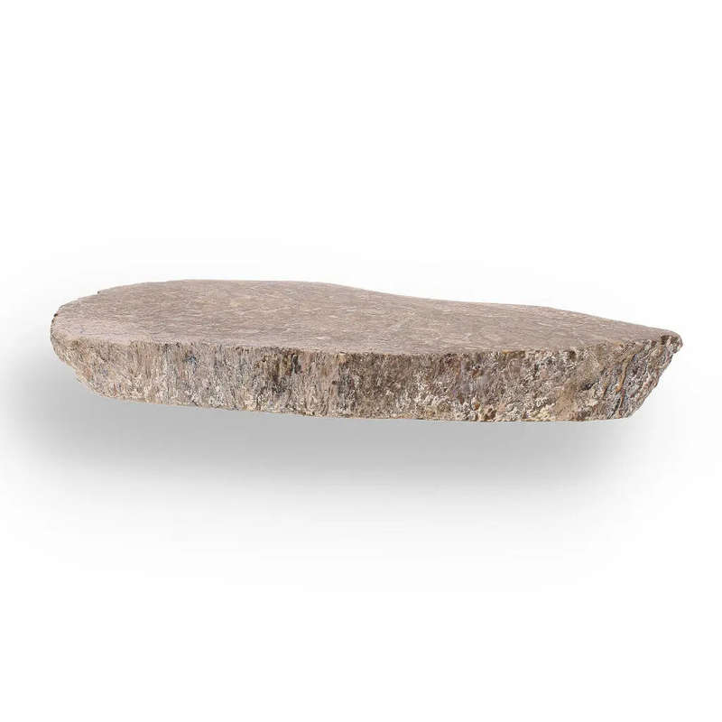 Jurassic Agatized Dinosaur Bone Relic