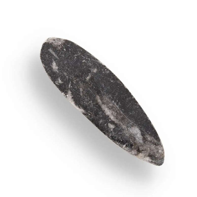 Prehistoric Treasures: The Ultimate Fossil Gift Box!