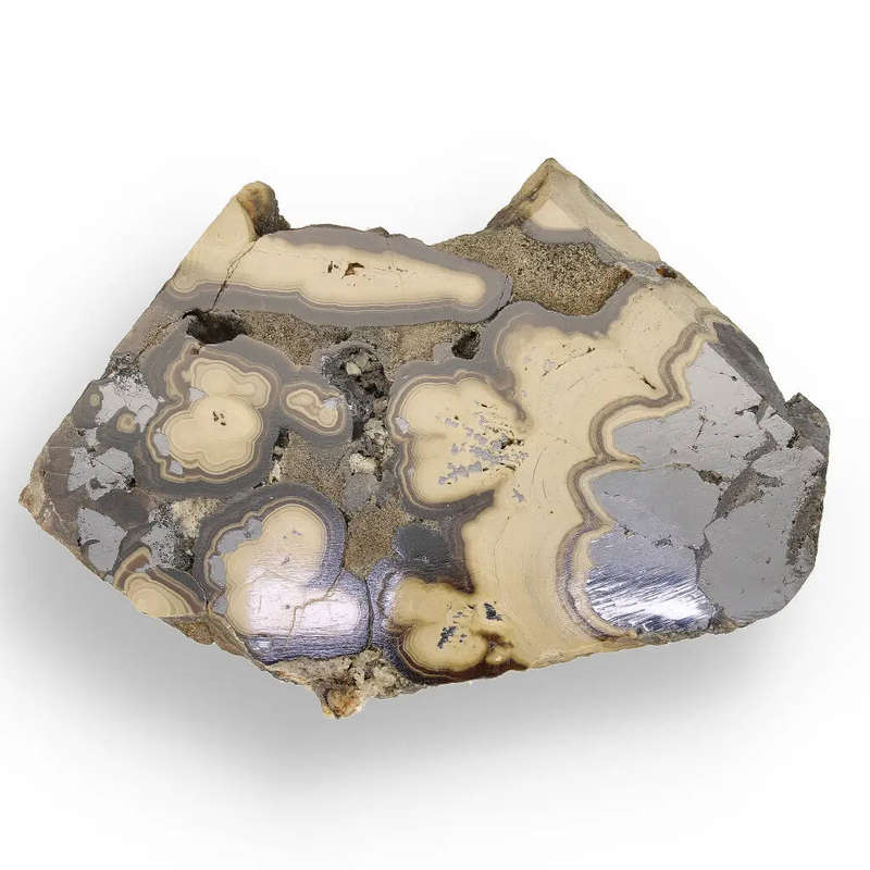 Museum-Quality Olkusz Schalenblende: Polished Sphalerite, Galena, Marcasite Ore Specimen