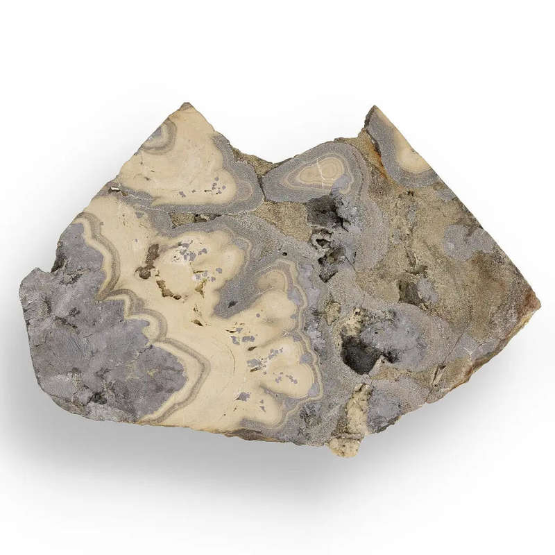 Museum-Quality Olkusz Schalenblende: Polished Sphalerite, Galena, Marcasite Ore Specimen