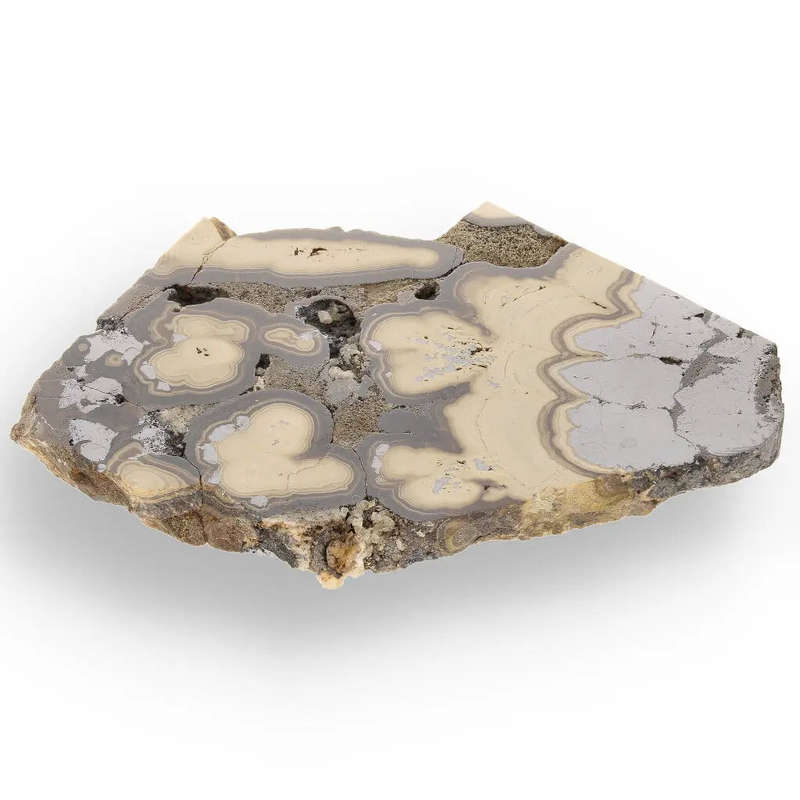 Museum-Quality Olkusz Schalenblende: Polished Sphalerite, Galena, Marcasite Ore Specimen