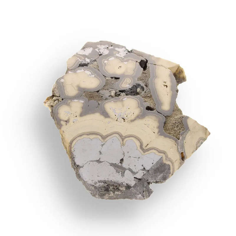 Museum-Quality Olkusz Schalenblende: Polished Sphalerite, Galena, Marcasite Ore Specimen