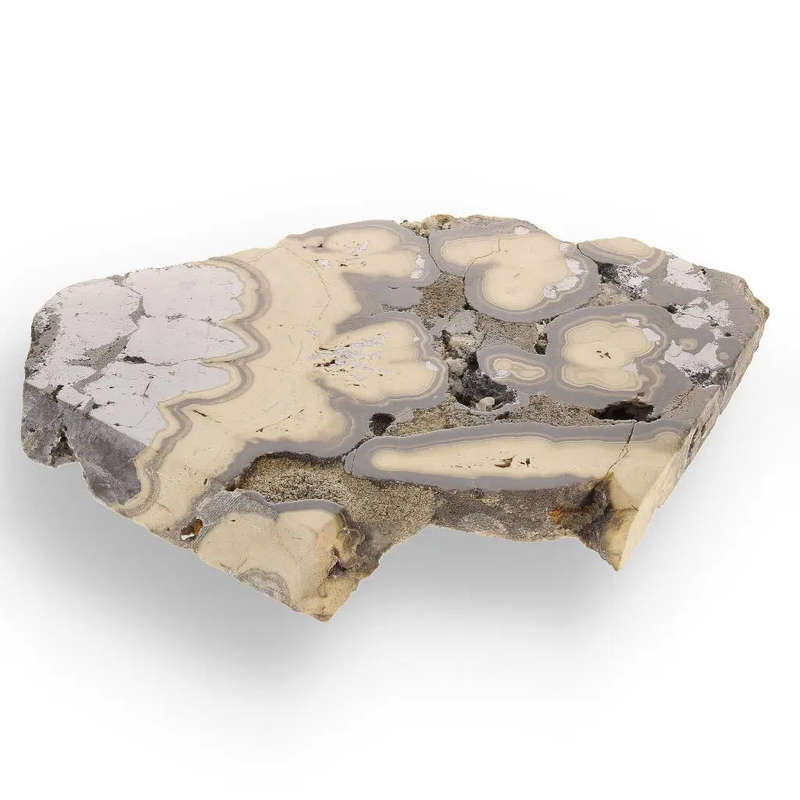Museum-Quality Olkusz Schalenblende: Polished Sphalerite, Galena, Marcasite Ore Specimen