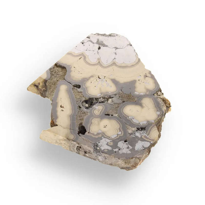 Museum-Quality Olkusz Schalenblende: Polished Sphalerite, Galena, Marcasite Ore Specimen