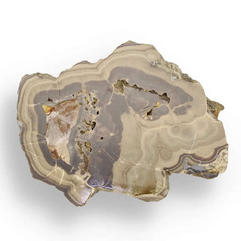 Striking Olkusz Mine Schalenblende: Polished Slice with Distinctive Banding and Galena Inclusions