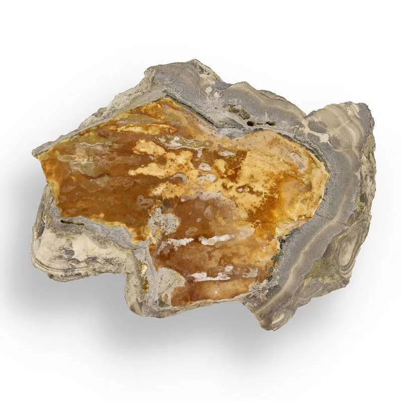 Striking Olkusz Mine Schalenblende: Polished Slice with Distinctive Banding and Galena Inclusions