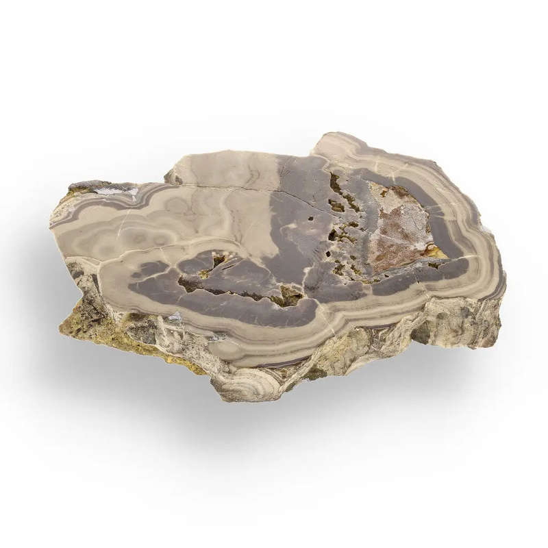 Striking Olkusz Mine Schalenblende: Polished Slice with Distinctive Banding and Galena Inclusions