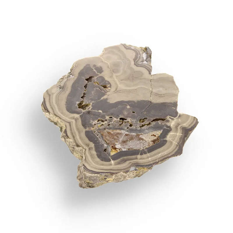 Striking Olkusz Mine Schalenblende: Polished Slice with Distinctive Banding and Galena Inclusions