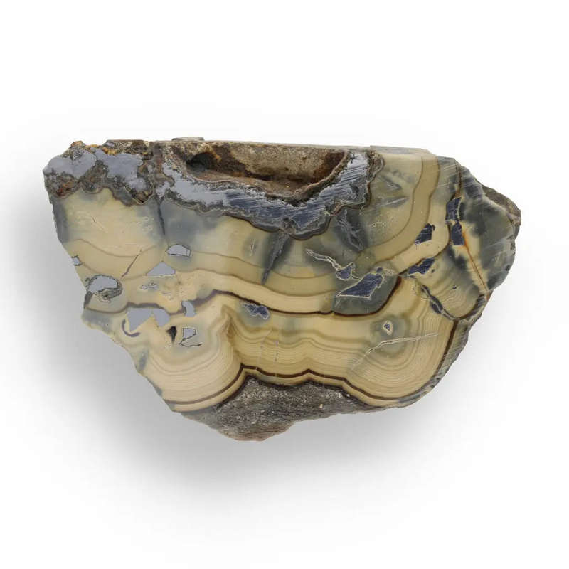 Authentic Olkusz Schalenblende Slice: Unique Banded Sulfide Ore from Pomorzany Mine