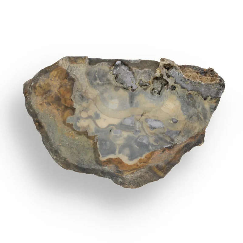Authentic Olkusz Schalenblende Slice: Unique Banded Sulfide Ore from Pomorzany Mine