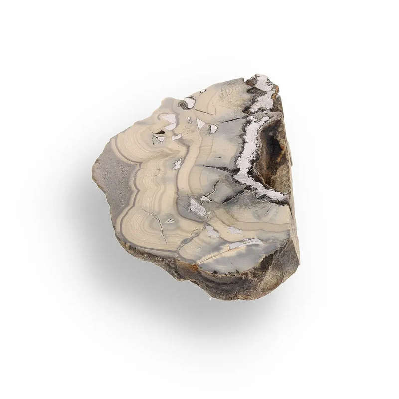 Authentic Olkusz Schalenblende Slice: Unique Banded Sulfide Ore from Pomorzany Mine