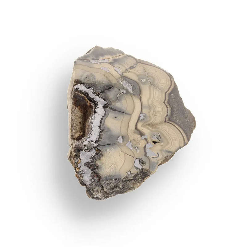 Authentic Olkusz Schalenblende Slice: Unique Banded Sulfide Ore from Pomorzany Mine