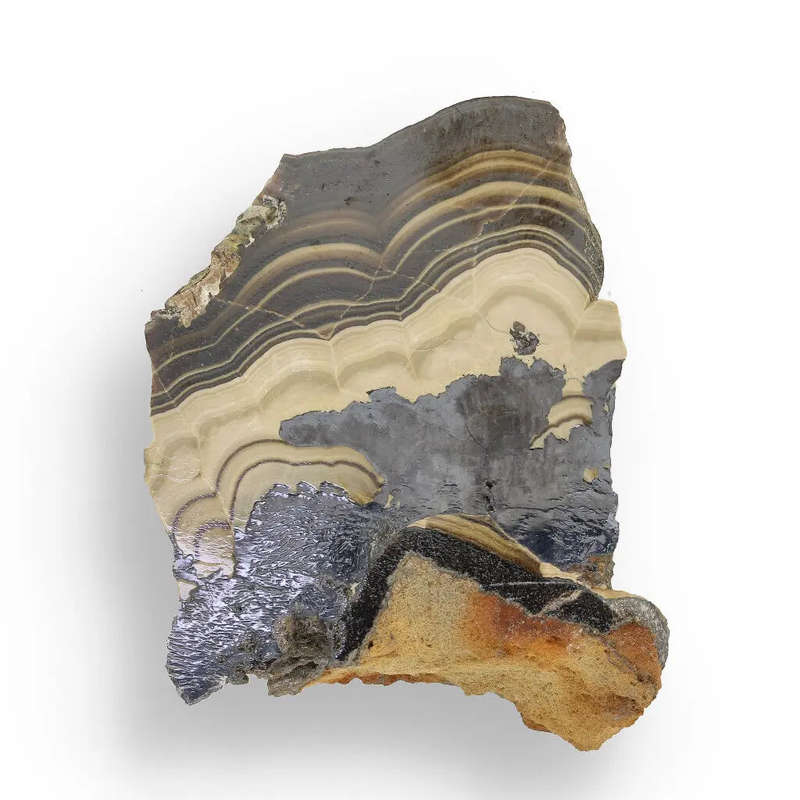 Exquisite Olkusz Schalenblende: Hand-Polished Sphalerite, Galena, Marcasite with Colloform Texture