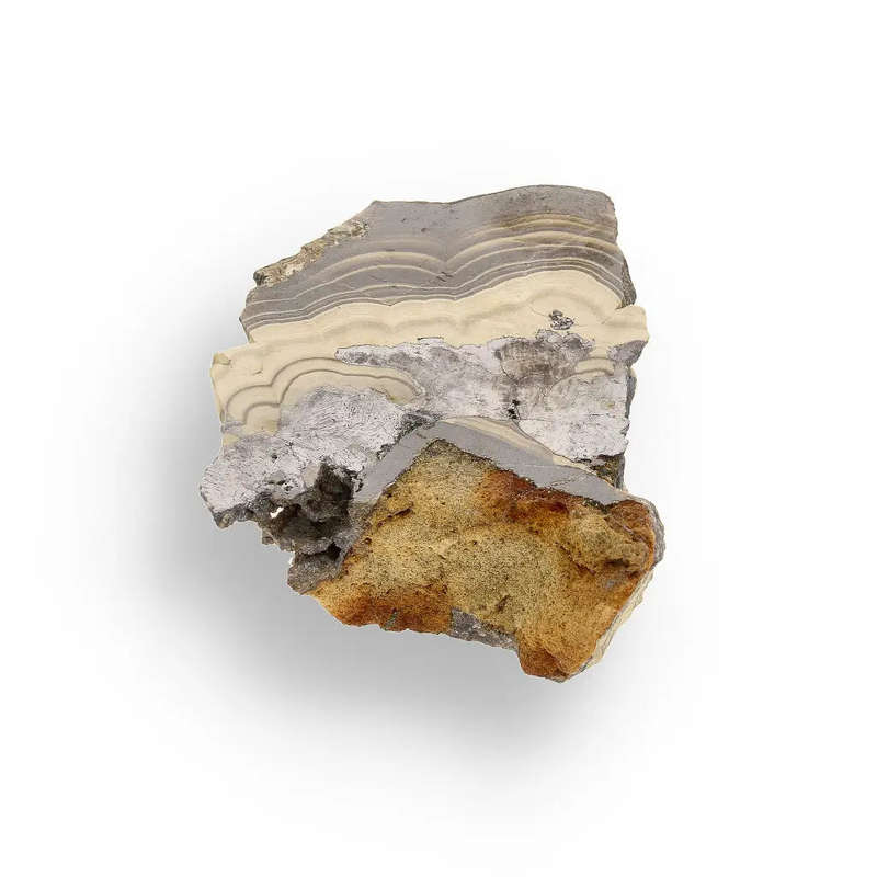 Exquisite Olkusz Schalenblende: Hand-Polished Sphalerite, Galena, Marcasite with Colloform Texture
