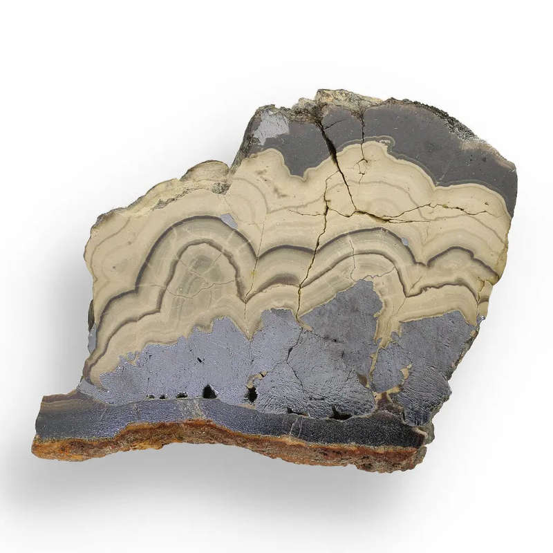 Investment Quality Olkusz Schalenblende: Polished Banded Zn-Pb-Fe Sulfide from a Classic Locality