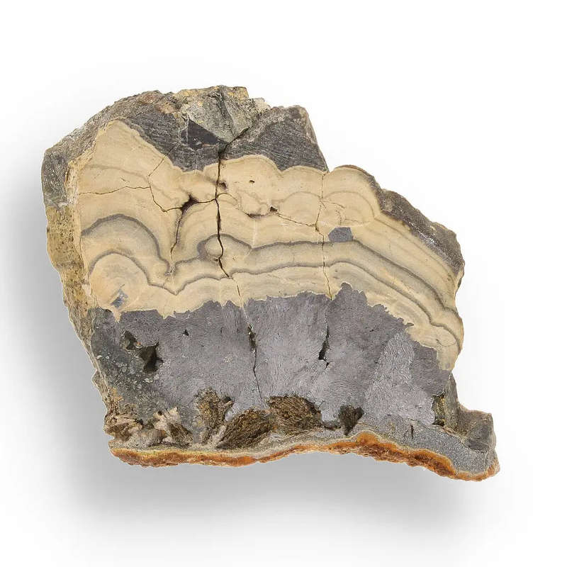 Investment Quality Olkusz Schalenblende: Polished Banded Zn-Pb-Fe Sulfide from a Classic Locality