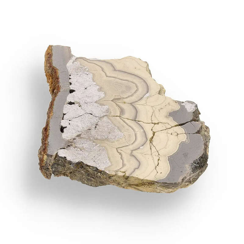 Investment Quality Olkusz Schalenblende: Polished Banded Zn-Pb-Fe Sulfide from a Classic Locality