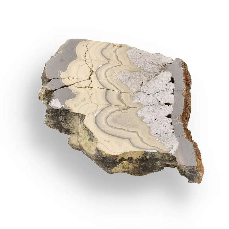 Investment Quality Olkusz Schalenblende: Polished Banded Zn-Pb-Fe Sulfide from a Classic Locality