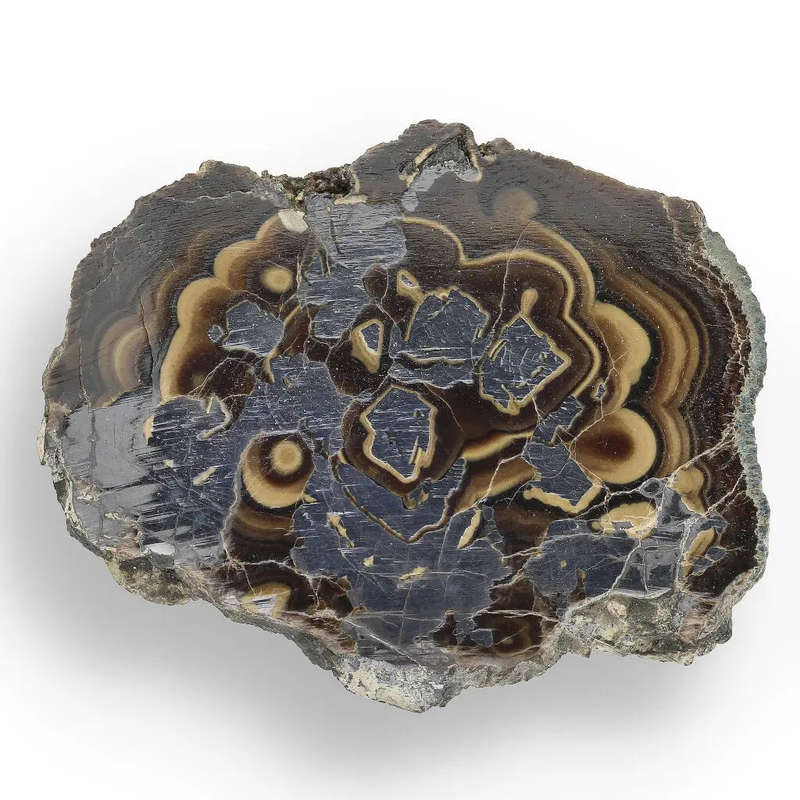Visually Captivating Olkusz Schalenblende: Polished Slice Revealing Sulfide Gel Formation   