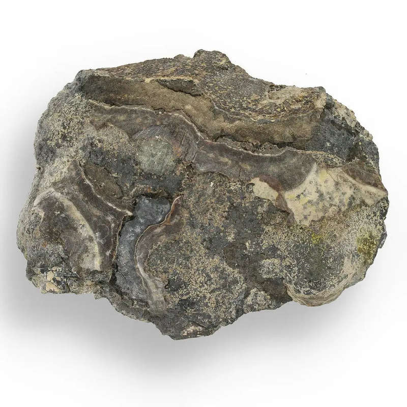 Visually Captivating Olkusz Schalenblende: Polished Slice Revealing Sulfide Gel Formation   