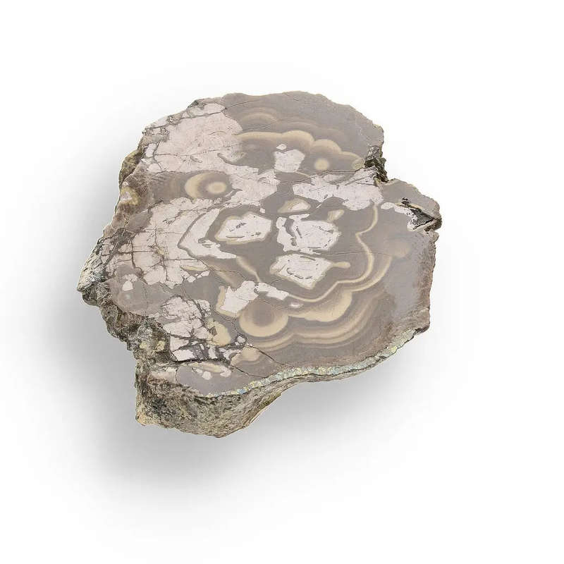 Visually Captivating Olkusz Schalenblende: Polished Slice Revealing Sulfide Gel Formation   
