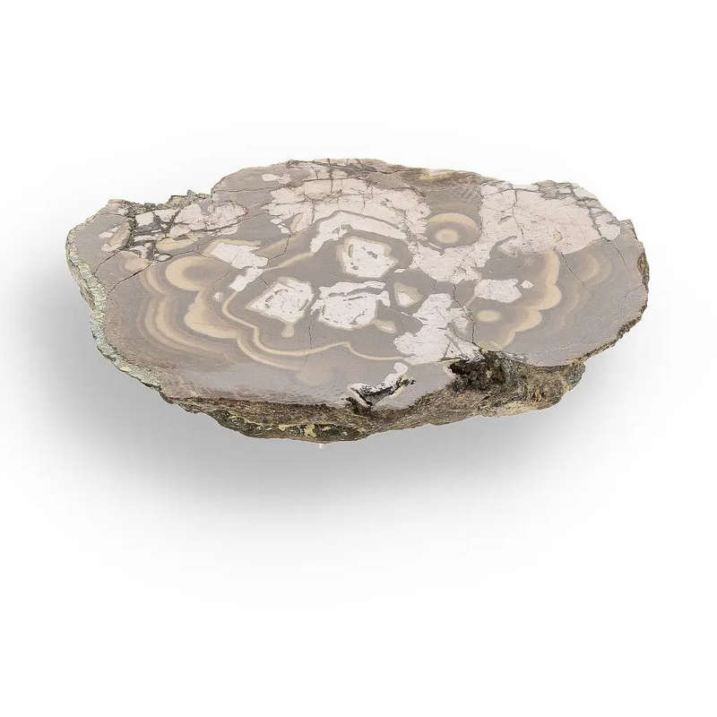 Visually Captivating Olkusz Schalenblende: Polished Slice Revealing Sulfide Gel Formation   