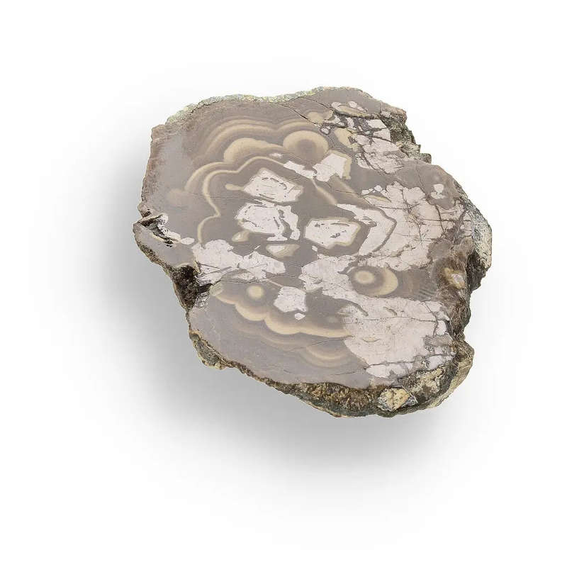 Visually Captivating Olkusz Schalenblende: Polished Slice Revealing Sulfide Gel Formation   
