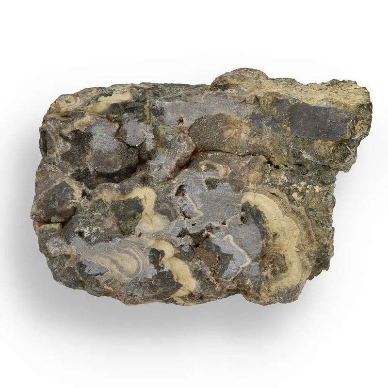 Olkusz Schalenblende Display Piece: Beautifully Banded Sphalerite, Galena & Marcasite from Southe...